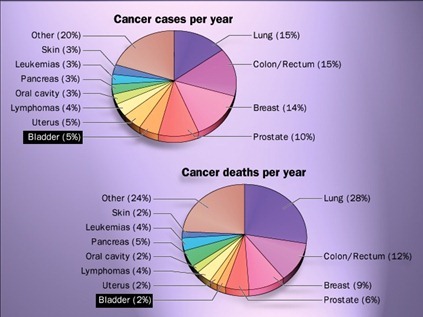 Cancer cases & death per year