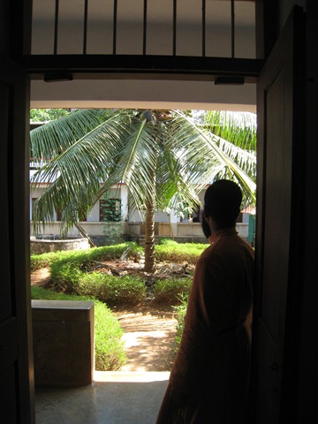 [CoconutTreePlantedbyHisHolinessmarDi.jpg]