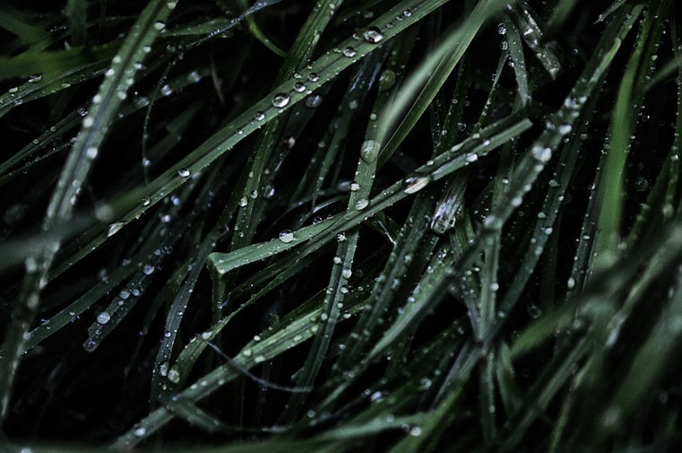 DSC_8178 DSC_8178