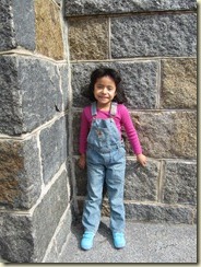 IMG_1286 IMG_1286