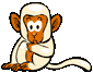 [monkey%255B2%255D.gif]