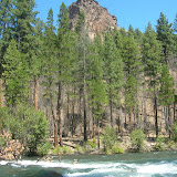 The Rock Again