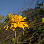 2008-07-29_00216.jpg