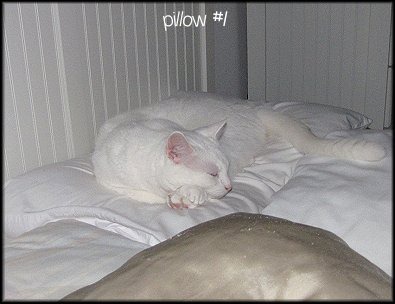[bed22%255B1%255D%255B3%255D.jpg]