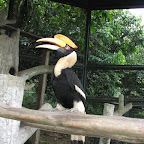 IMG_2607.JPG