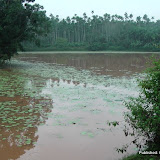 Hidden Lakes: Heggodu, Karnataka Hidden Lakes: Heggodu, Karnataka