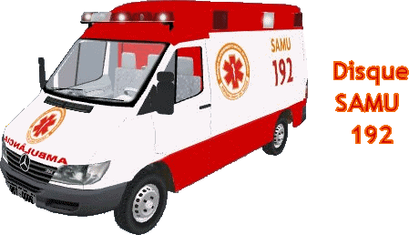 samu animado