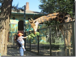 IMG_2610 IMG_2610
