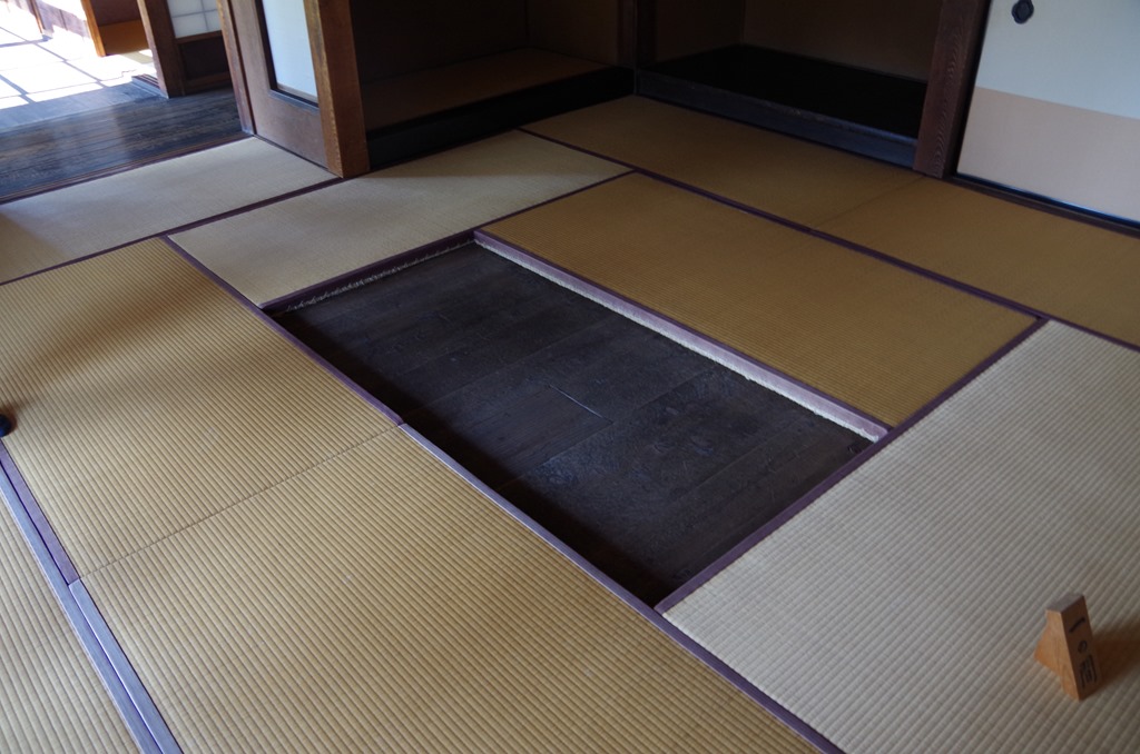 [IMGP08303.jpg]
