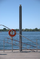 DSC_5785.jpg