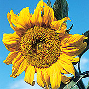 [image%255B57%255D.png]