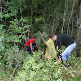 IMG_7233.jpg