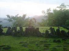 Image-6660