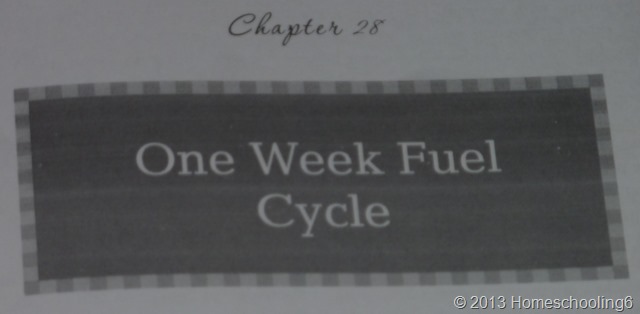 Fuel Cycle Trim Healthy Mama