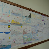 DSC09449.JPG