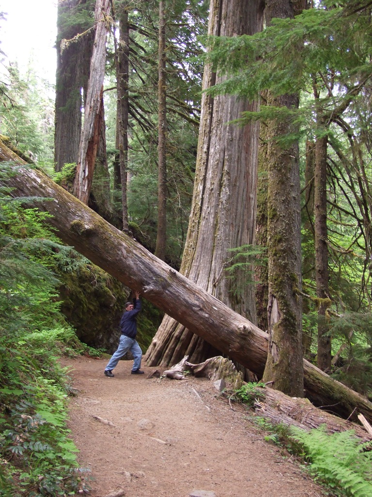 [DSCF72735.jpg]