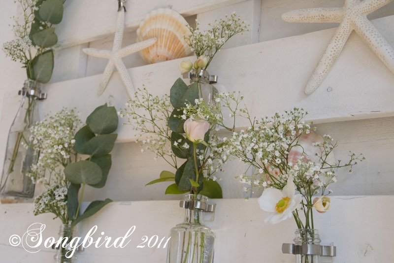 [Baby%2520Breath%252C%2520Shells%252C%2520Roses%252C%2520Sea%2520star%255B3%255D.jpg]
