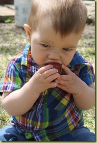 IMG_7895 IMG_7895