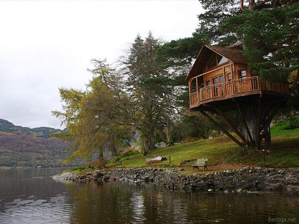 Amazing Tree Houses