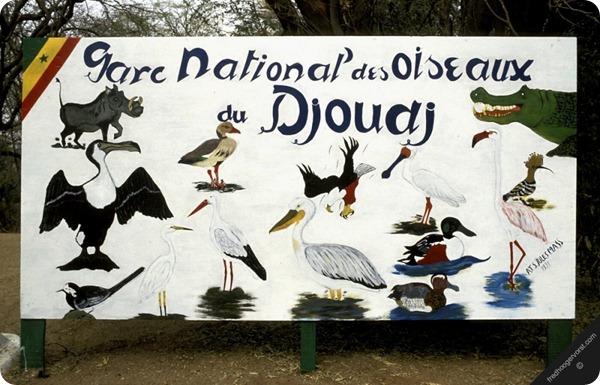 djoudj02335 djoudj02335