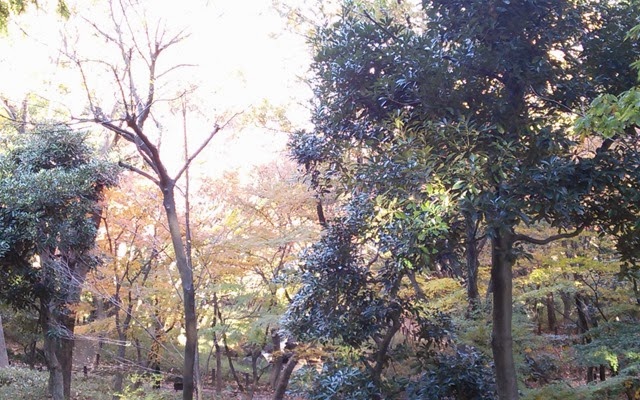 [IMG_20131130_135117%255B4%255D.jpg]