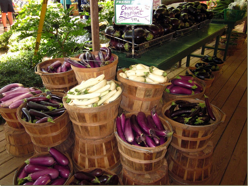 lesters white eggplant