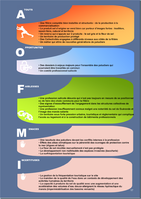diagnostic_salicole_ca44_2011_page_018 diagnostic_salicole_ca44_2011_page_018