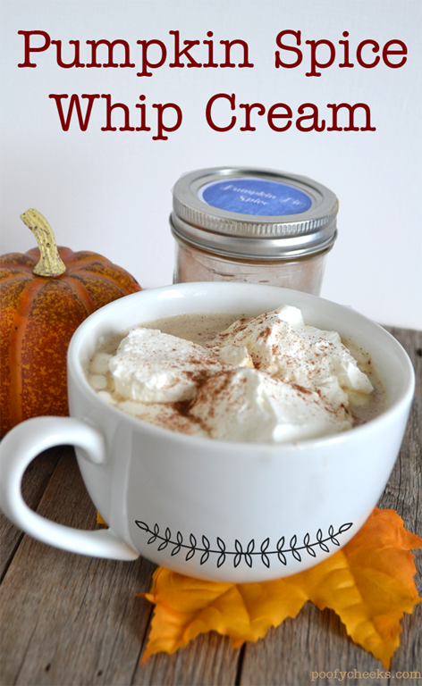 [pumpkin-spice-latte-whip-cream%255B8%255D.png]
