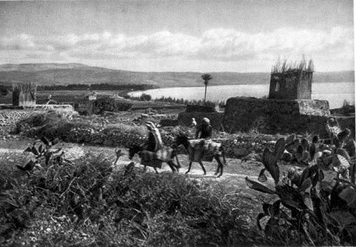 [clip_image003%255B3%255D.jpg]