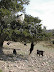 Natura :: Capre volanti, Marocco 2004