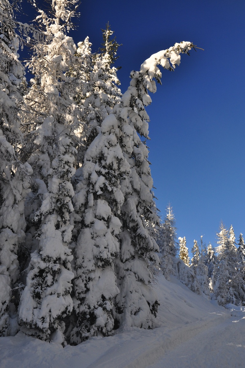DSC_6008.jpg DSC 6008
