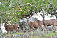 HBR_2012Dec28_010.jpg