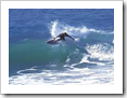 Enjoy the Fun and Thrills of Newquay
