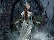 In Twilight Garden