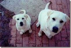 Baby Sully with Gilbert