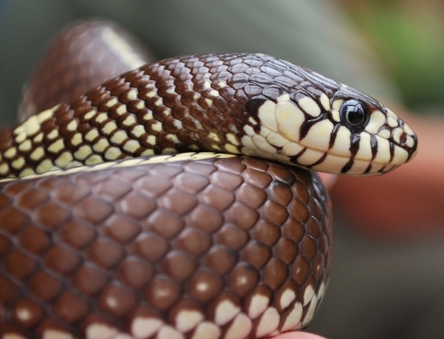 [DSC_0146%255B5%255D.jpg]