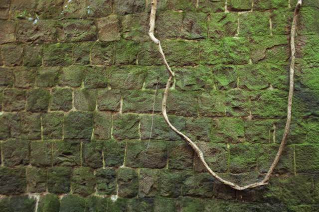 SDIM0003.jpg