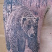 Bear in Front of Moose