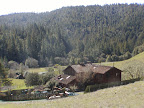 P1010003.JPG