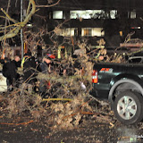 News_110319_TreeDownInjuries_16thAtJ
