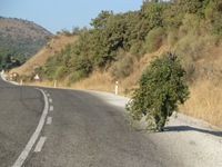 IMG_1515 IMG_1515
