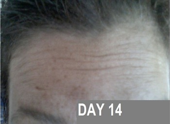 day14 day14
