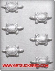 turtle molds