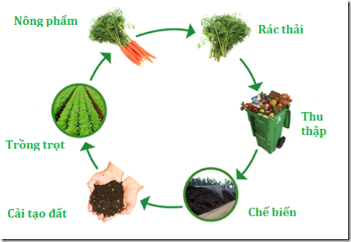 organics-recycling-lifecycle