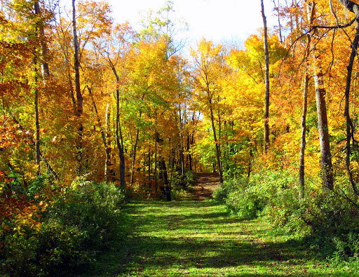 End of Island lake and twin lake trails Monday morning