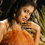 Nayanthara-Hot-Photos-20.jpg Nayanthara-Hot-Photos-20.jpg