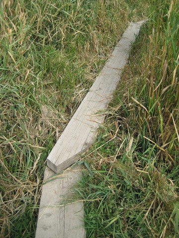 [IMG_7840%255B3%255D.jpg]