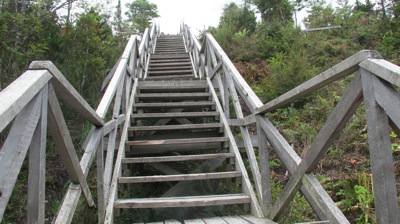 IMG_4535.JPG IMG 4535