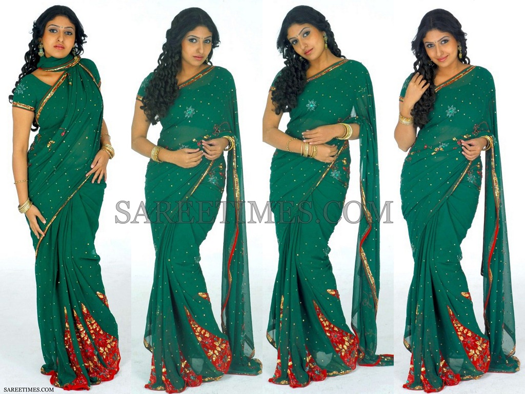 [Monica_Green_Embroidery_Saree%255B4%255D.jpg]