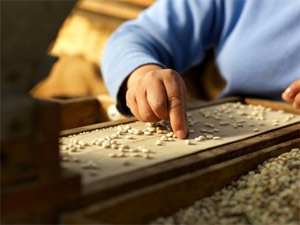 [2012-1-3_bean_count%255B3%255D.jpg]